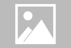 欧博网页版 -夏洛特黄蜂迎欧篮联关键赛；赛前完成体检；更衣室稳定；年轻球员得到机会的简单介绍